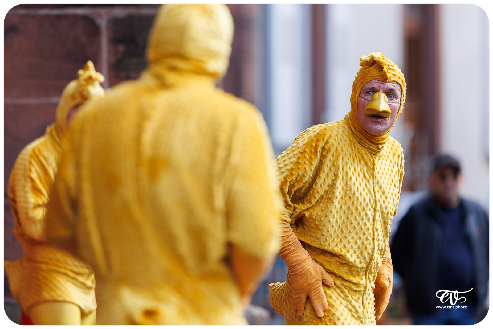 UN POUR TOUS TOUS POUSSIN ! - LES ARTS PITRES